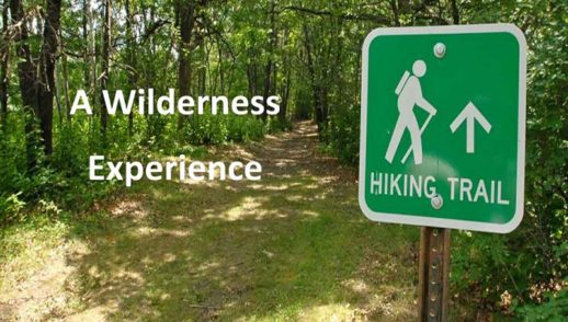 A Wilderness Experience IV