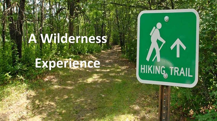 A Wilderness Experience I