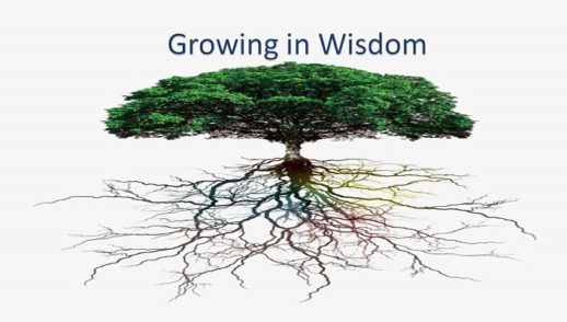 Where Does Wisdom Come From?