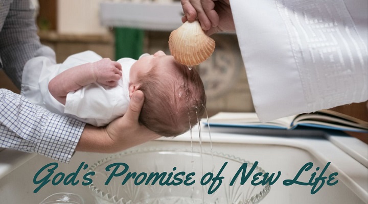 God's Promise of New Life