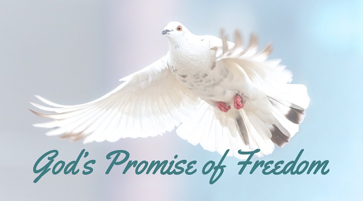 God's Promise of Freedom