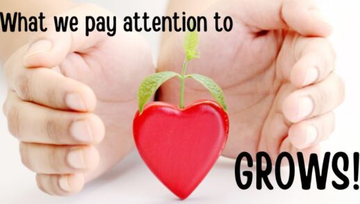 What We Pay Attention To Grows (11/13/2022)