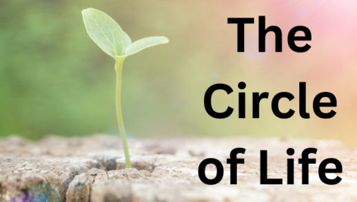 The Circle Of Life (05/14/2023)