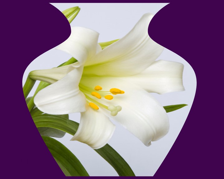 Easter Bilingual Worship